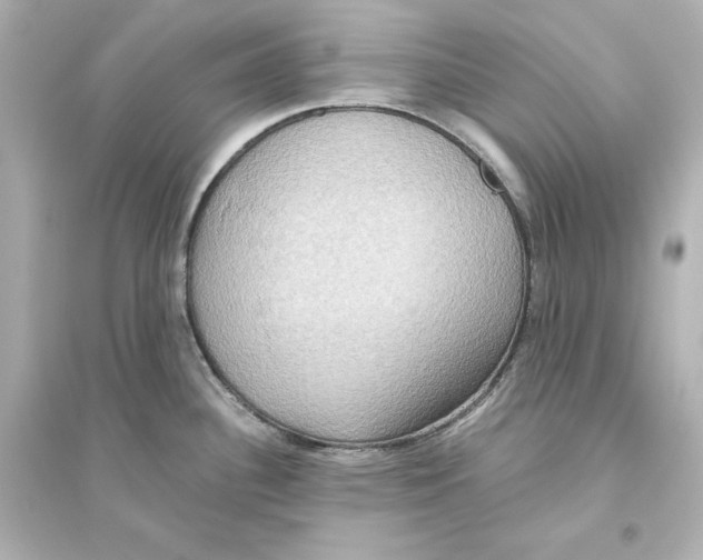 X0000093611340200711121203