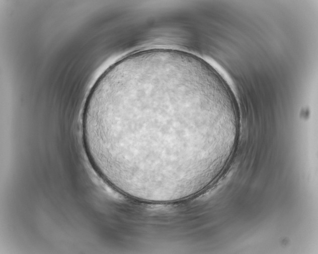 X0000093611341200711121203