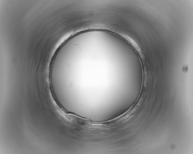 X0000093611342200711121203