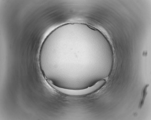 X0000093611344200711121203