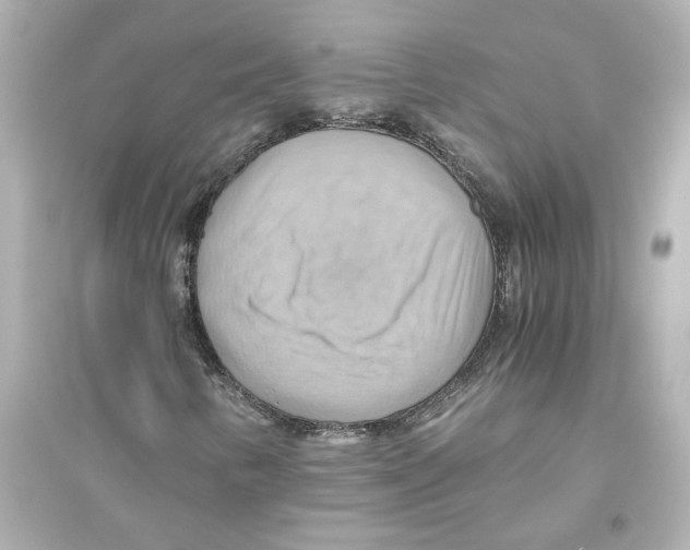 X0000093611346200711121202