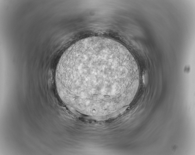 X0000093611347200711121202