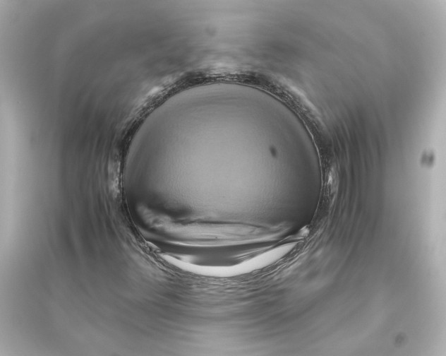 X0000093611348200711121202