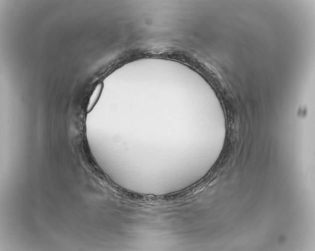 X0000093611349200711121202