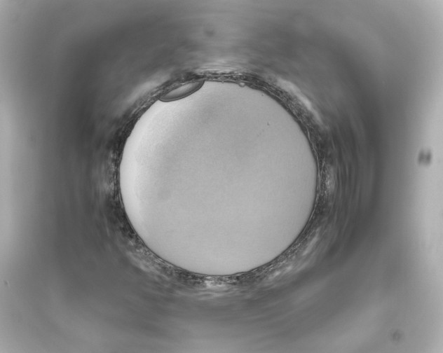 X0000093611350200711121202