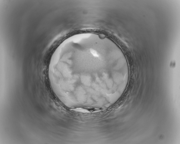 X0000093611351200711121202