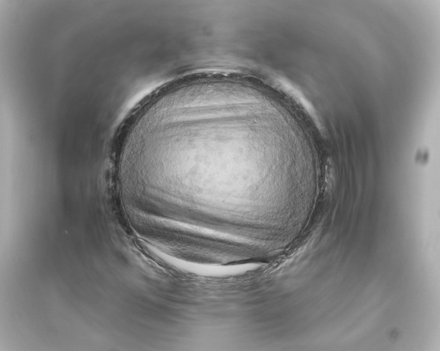 X0000093611352200711121202