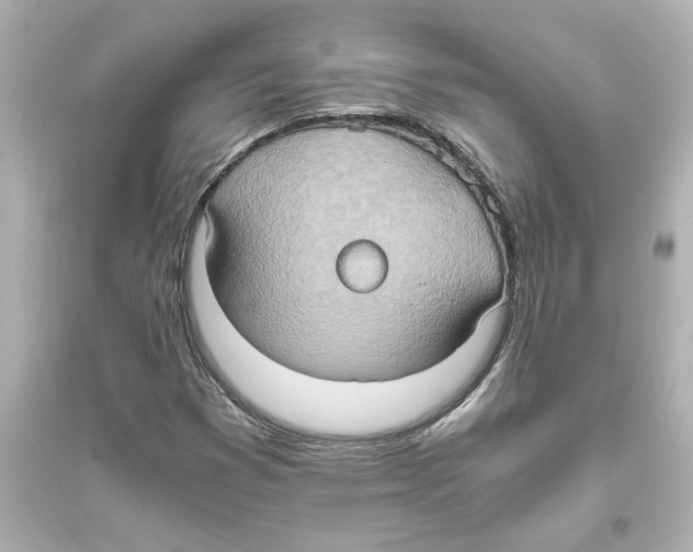 X0000093611353200711121202