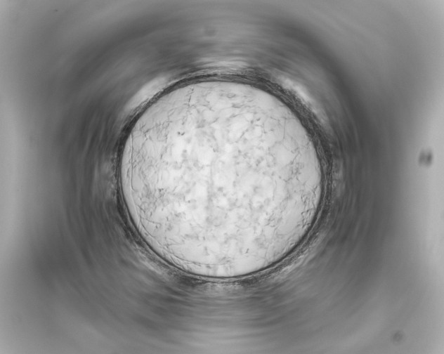 X0000093611354200711121202