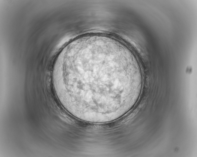 X0000093611355200711121202