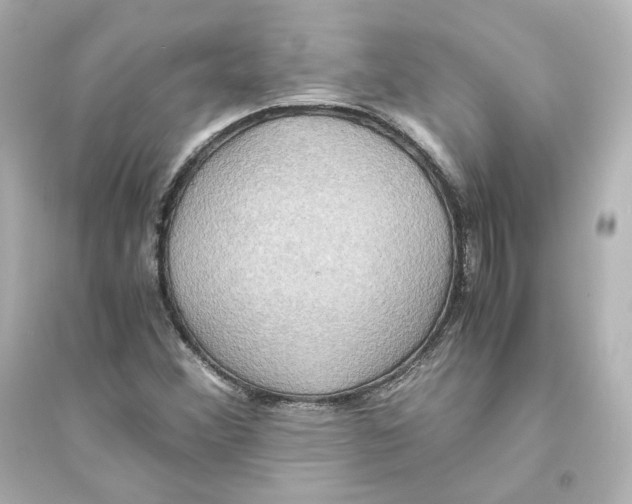 X0000093611356200711121202