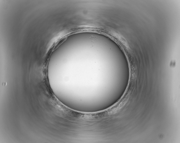 X0000093611357200711121202
