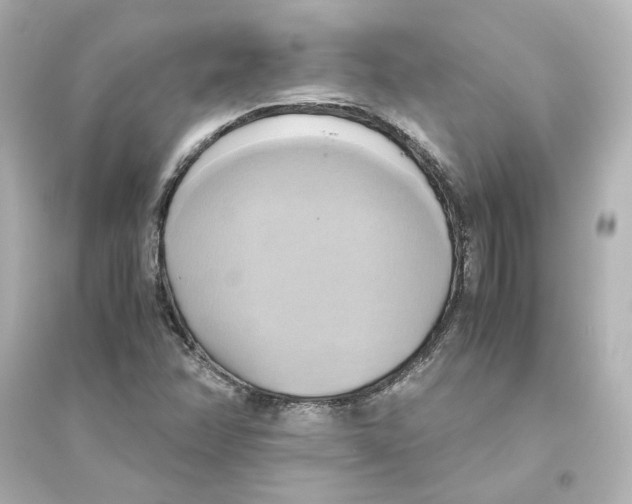 X0000093611358200711121202