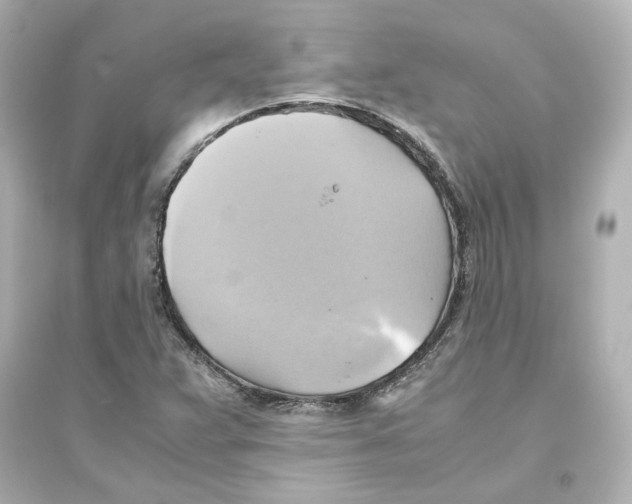 X0000093611359200711121202