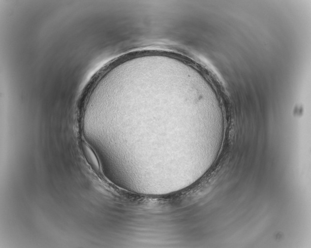 X0000093611360200711121202