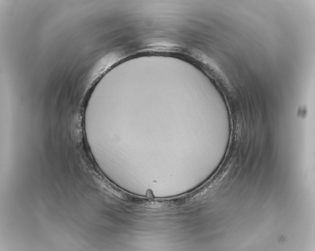 X0000093611362200711121202