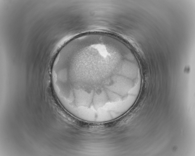 X0000093611363200711121202