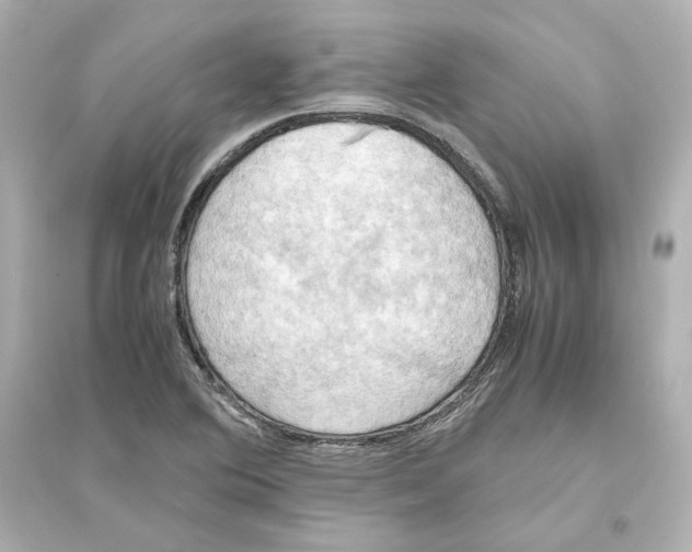 X0000093611364200711121202