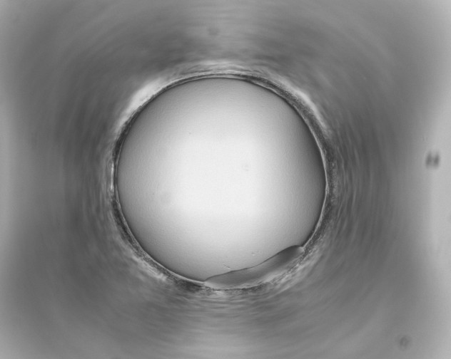 X0000093611365200711121202