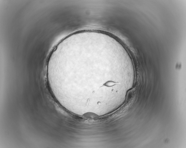X0000093611366200711121202