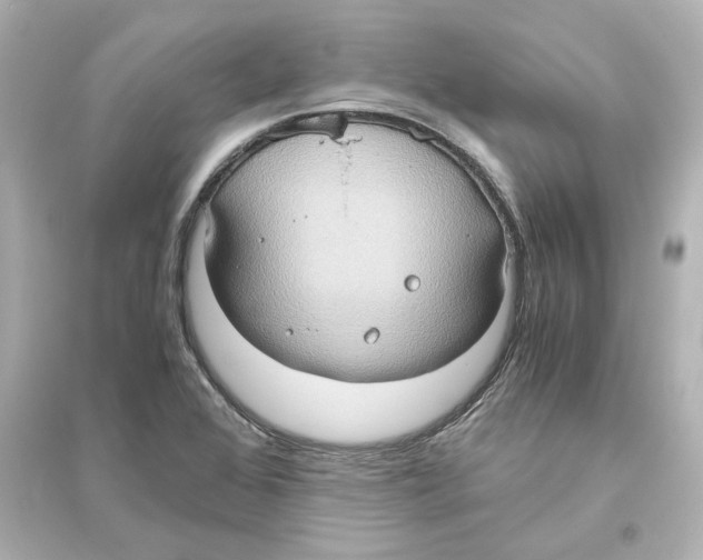 X0000093611368200711121202