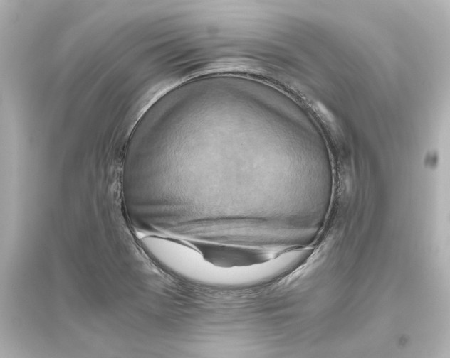 X0000093611369200711121202