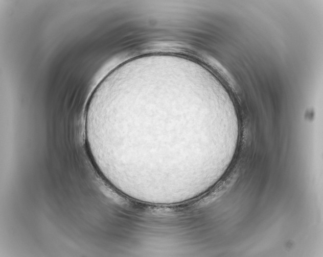 X0000093611370200711121202