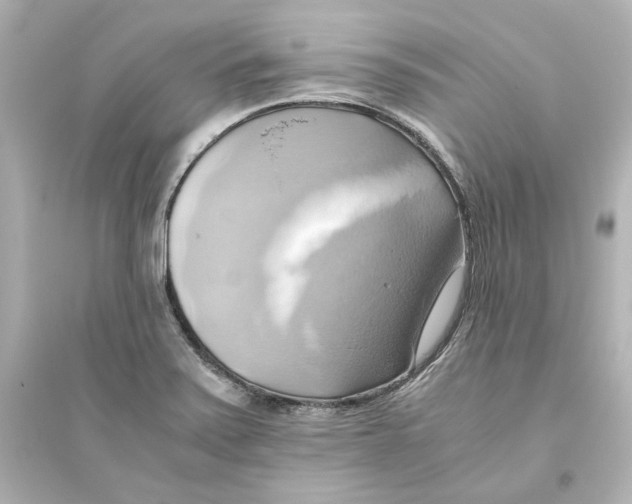 X0000093611371200711121202