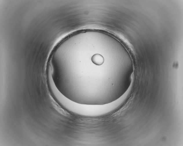 X0000093611372200711121202