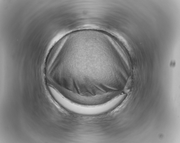 X0000093611373200711121202