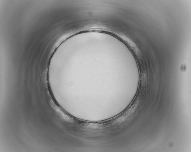 X0000093611374200711121202