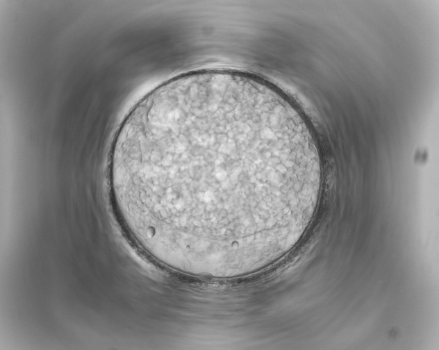 X0000093611375200711121202