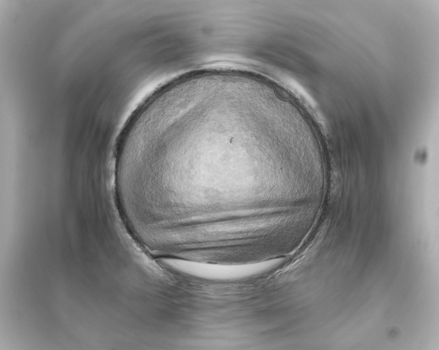 X0000093611376200711121202