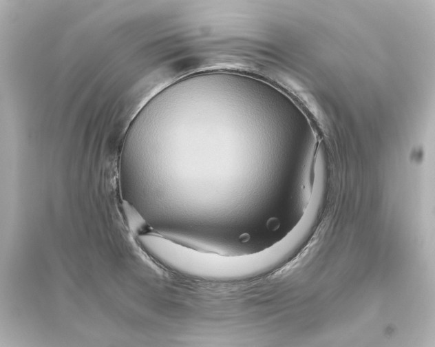 X0000093611377200711121202