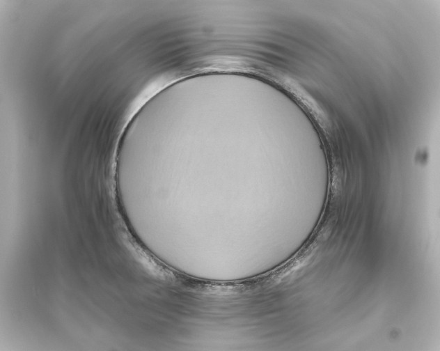 X0000093611378200711121202