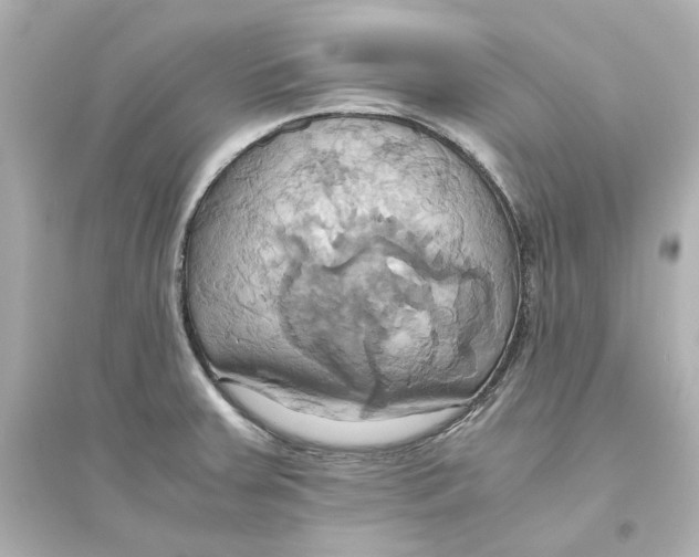 X0000093611379200711121202