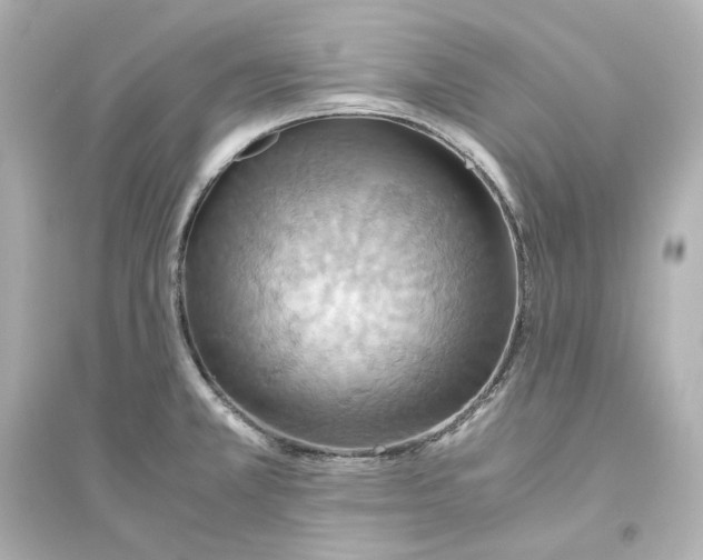 X0000093611381200711121202