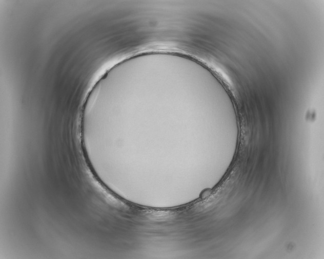 X0000093611382200711121202