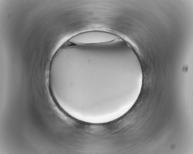 X0000093611383200711121202