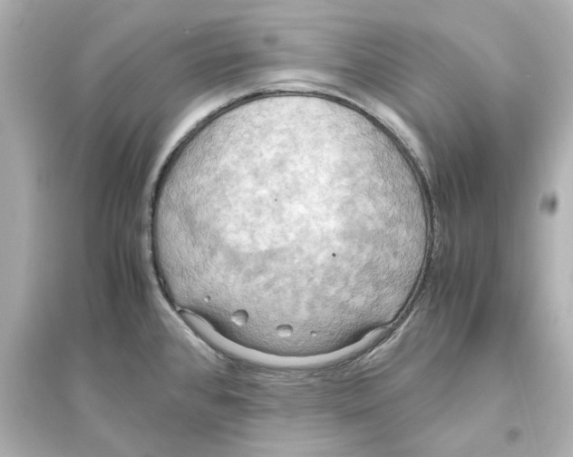 X0000093611384200711121202