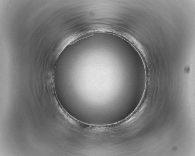 X0000093611385200711121202