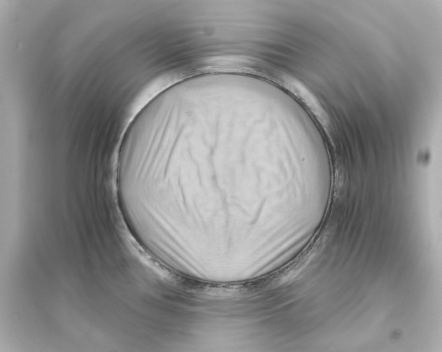 X0000093611386200711121202