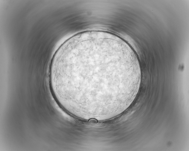 X0000093611387200711121202