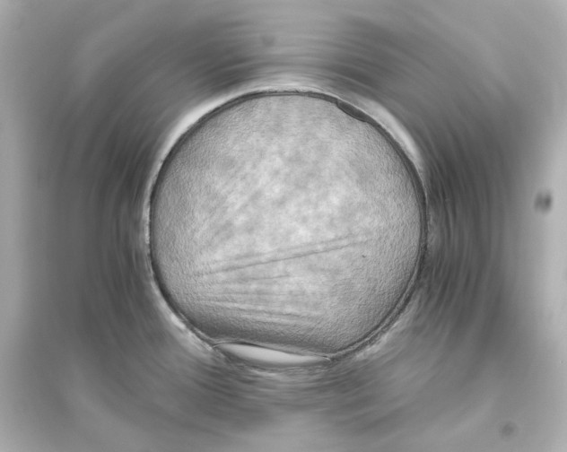 X0000093611388200711121202