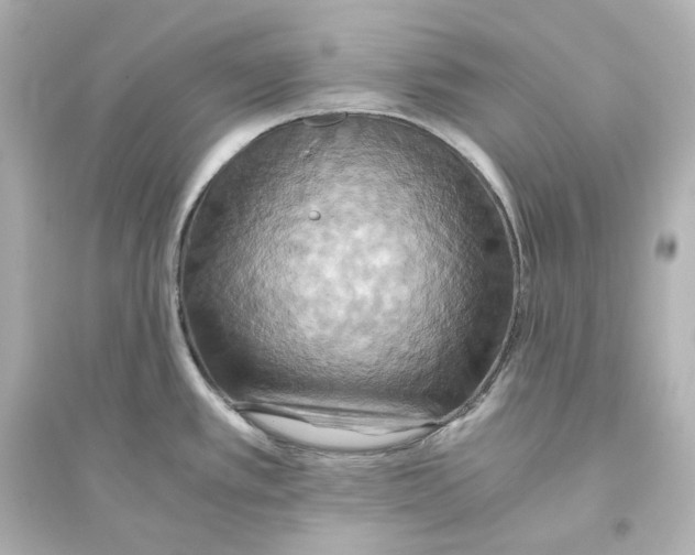 X0000093611389200711121202