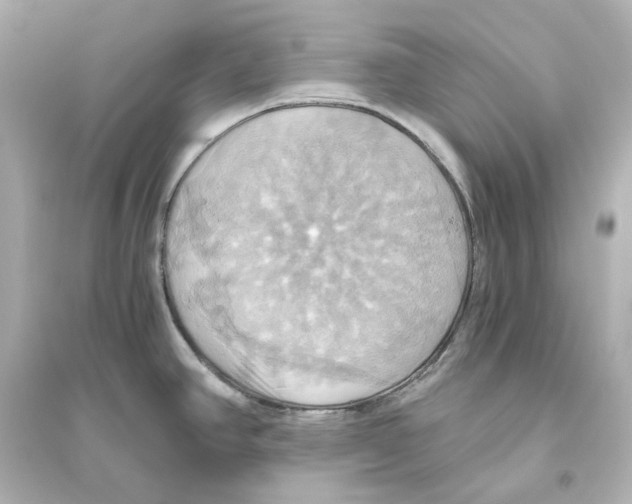 X0000093611390200711121202