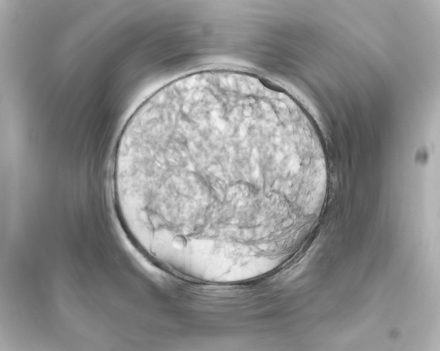 X0000093611391200711121202