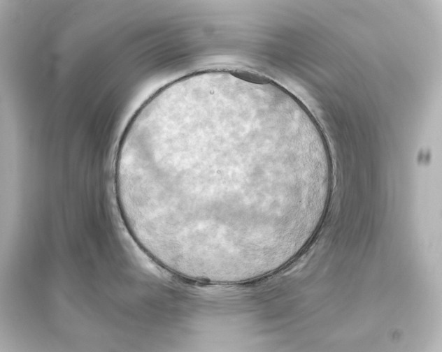 X0000093611392200711121202
