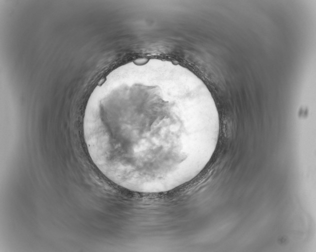X0000093611393200711121201