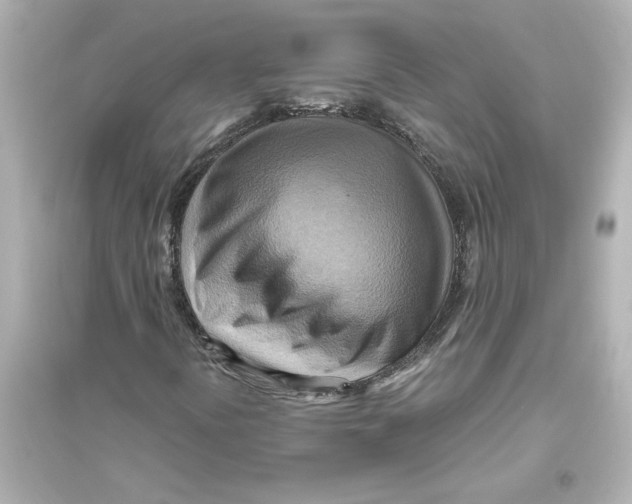 X0000093611394200711121201